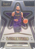 LeBron James #12