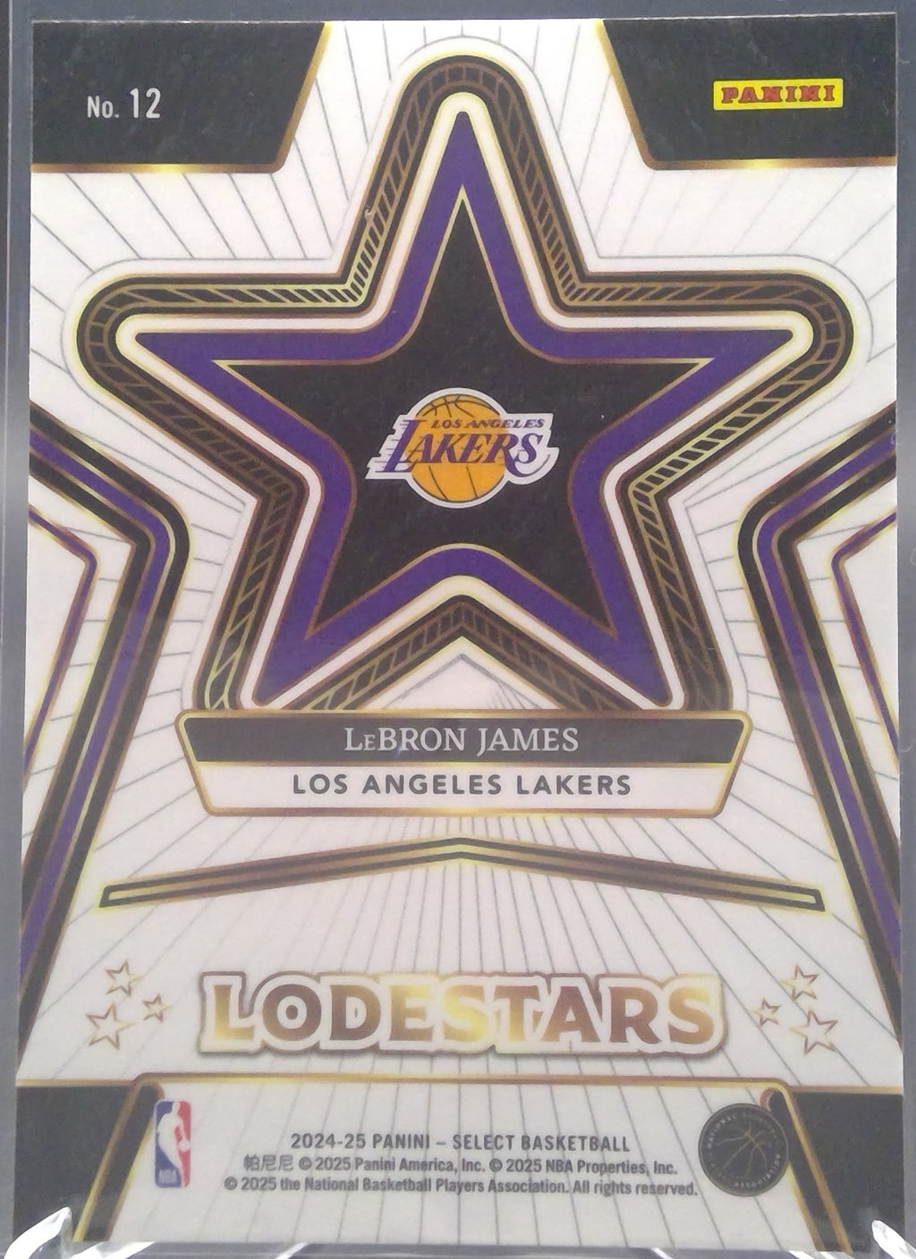 LeBron James #12