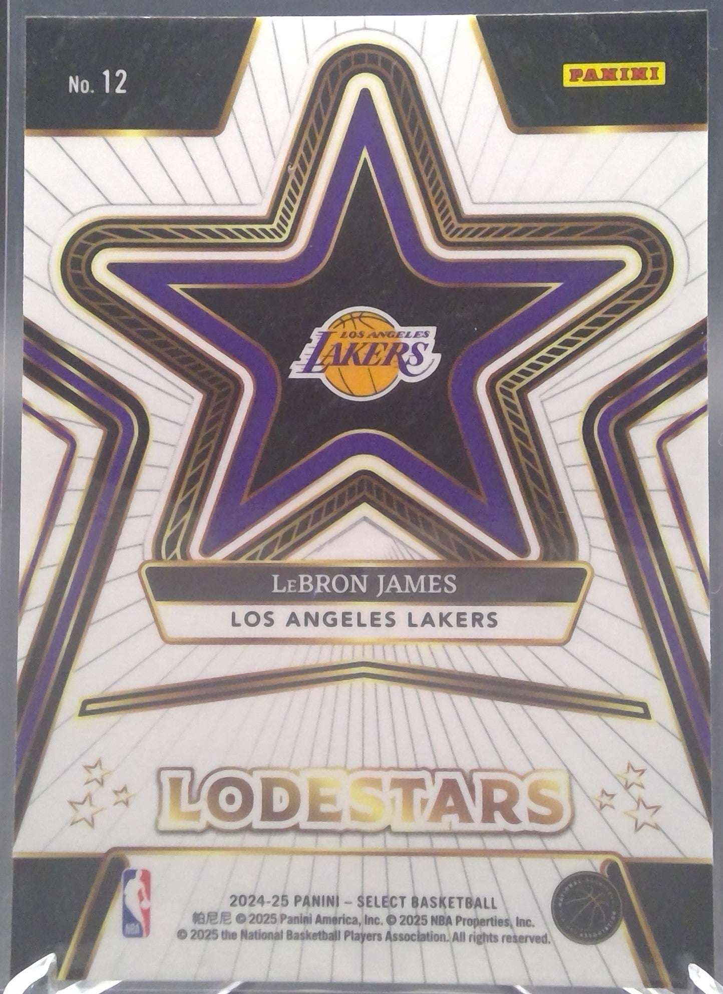LeBron James #12
