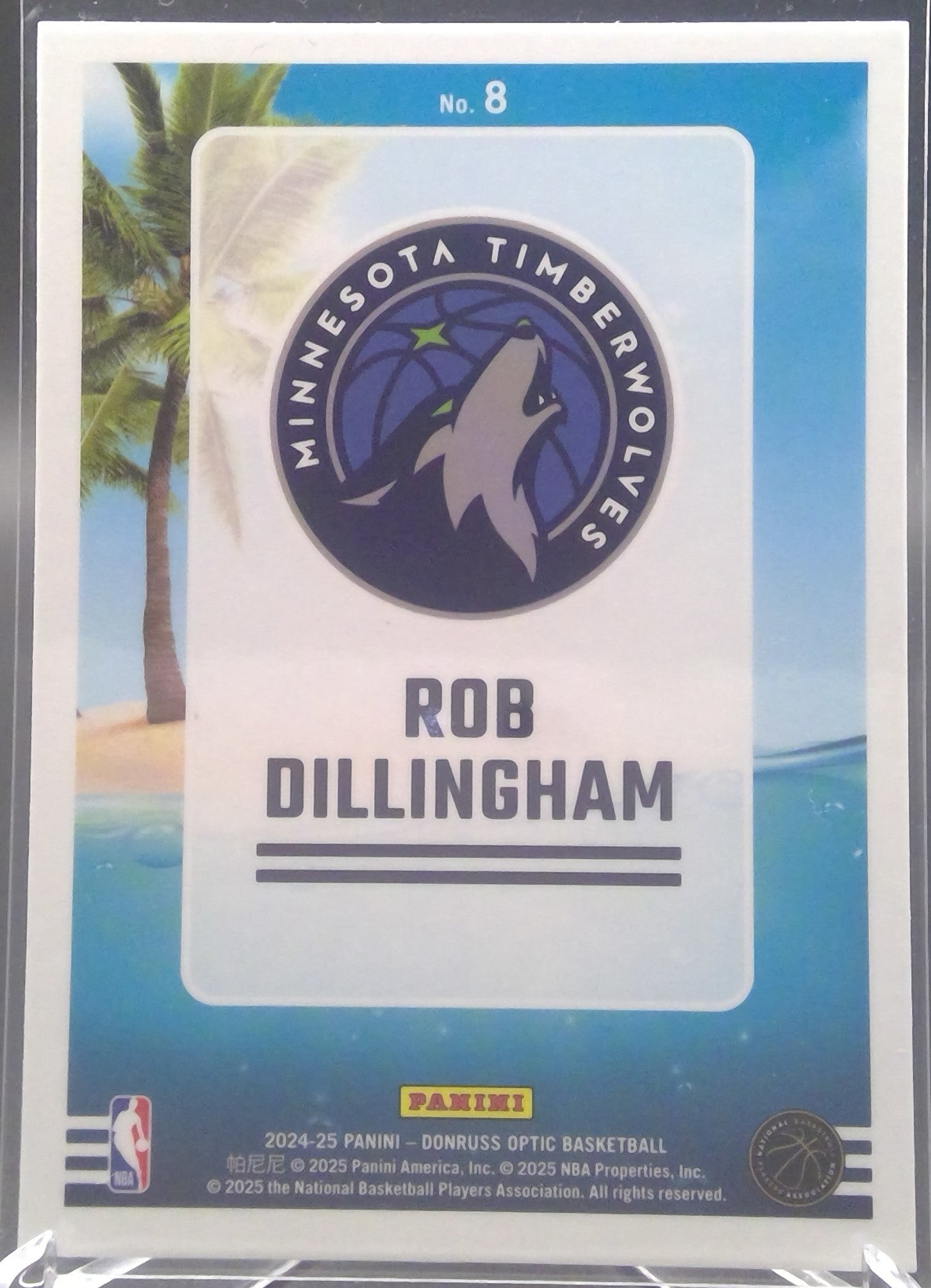 Rob Dillingham #8