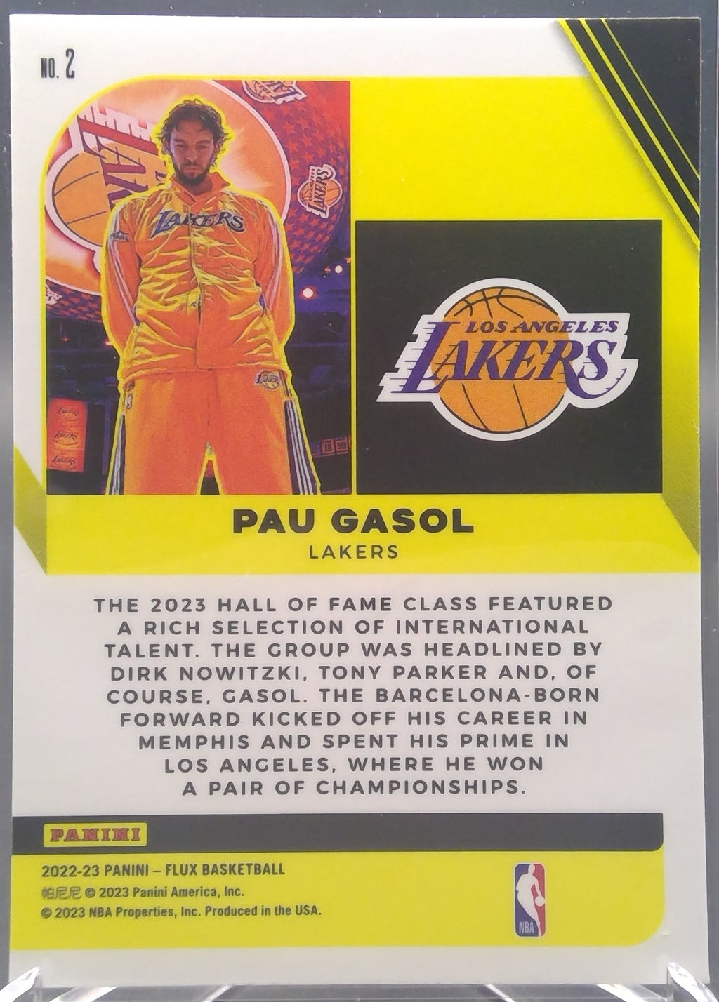 Pau Gasol #2