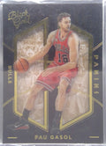 Pau Gasol #60