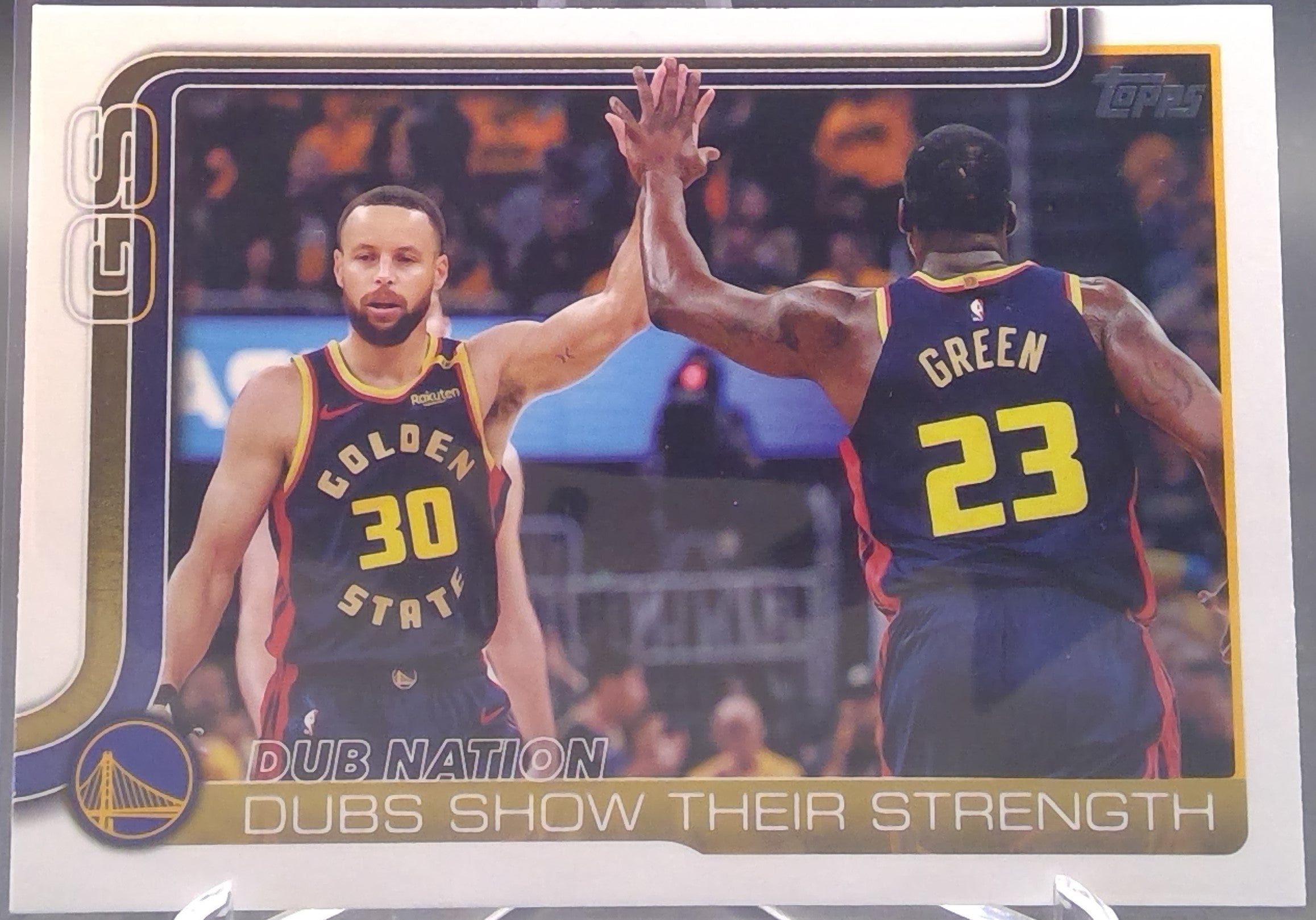 Golden State Warriors #291