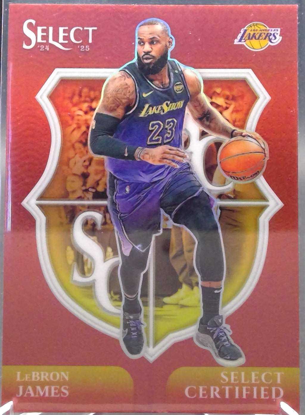 LeBron James #5