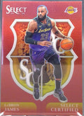 LeBron James #5