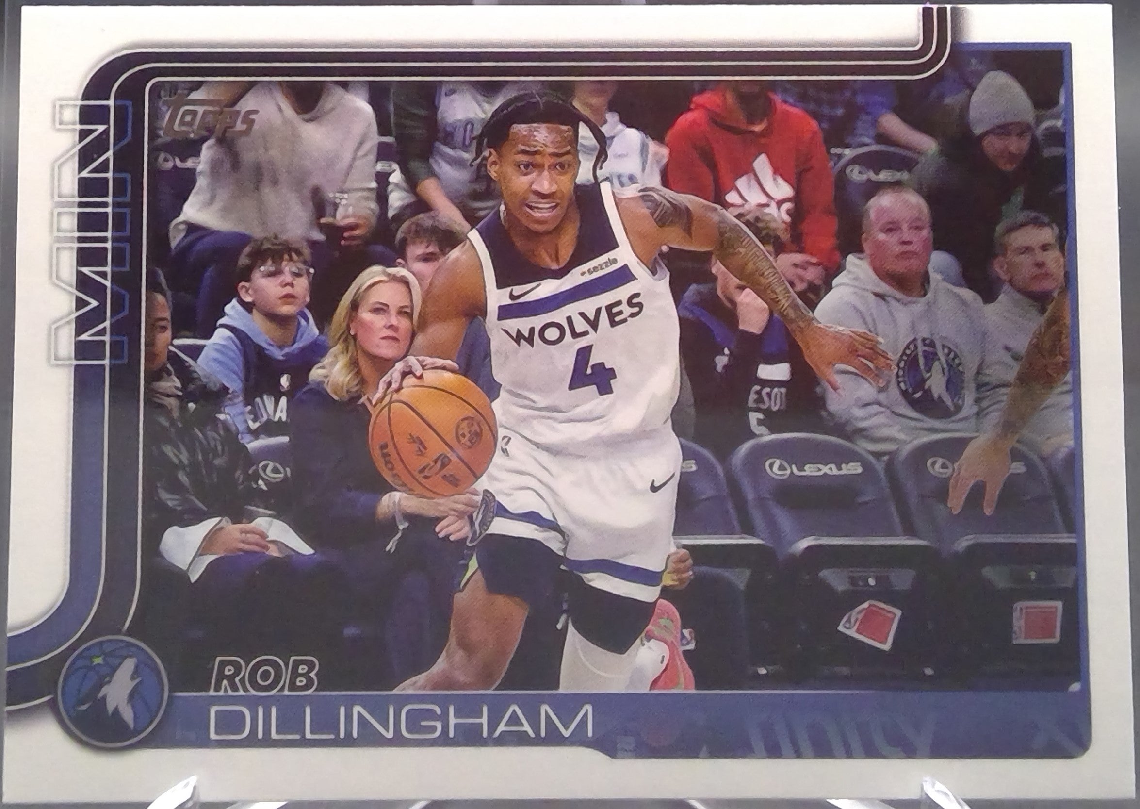 Rob Dillingham #114
