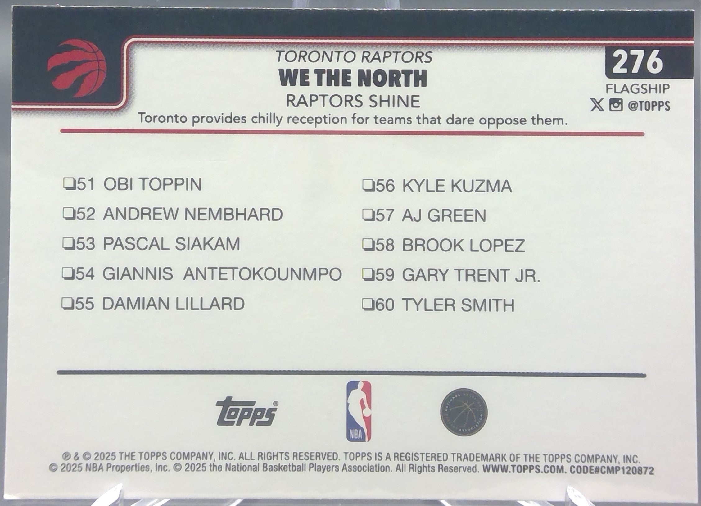 Toronto Raptors #276