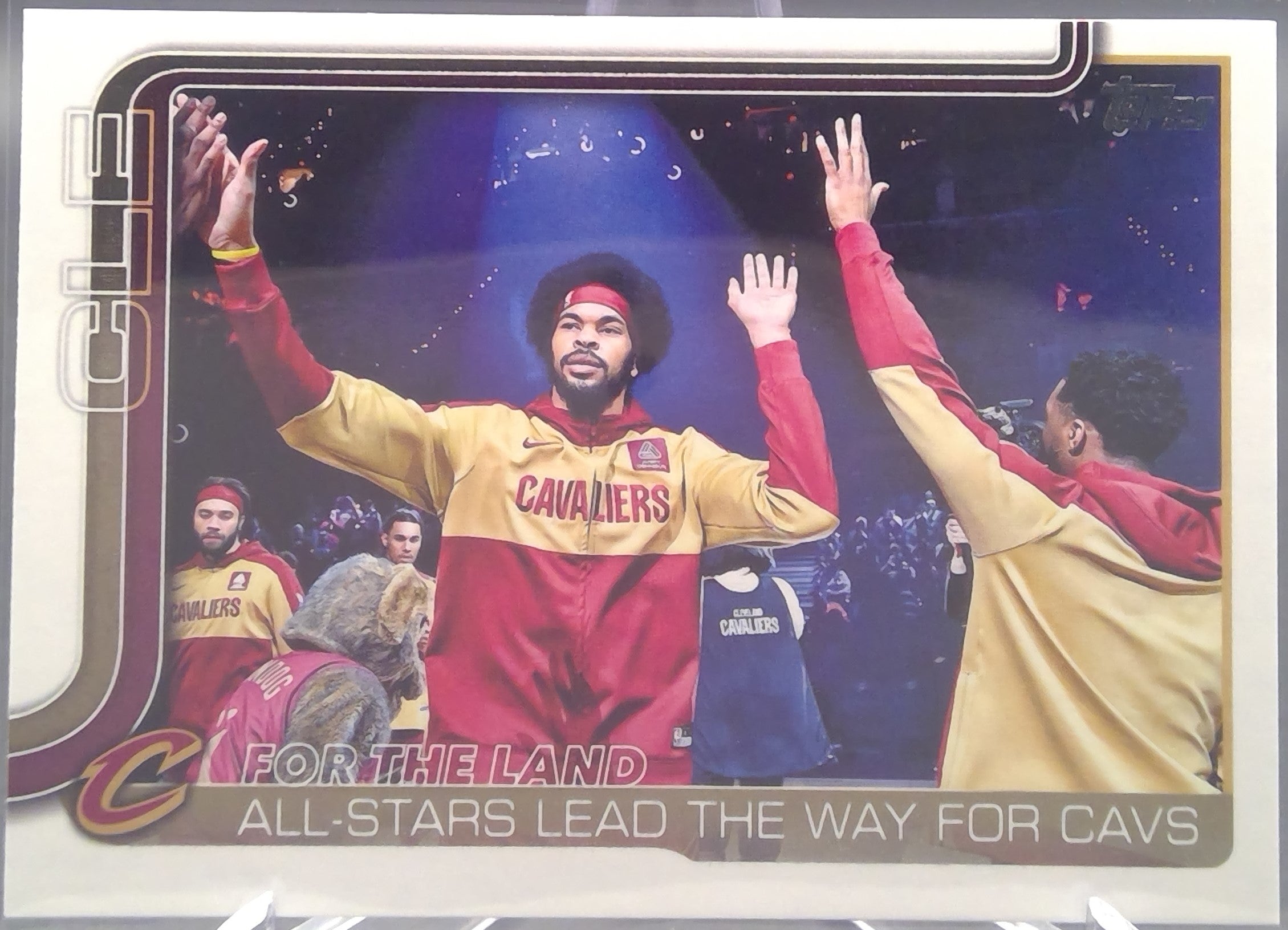Clevland Cavaliers #278