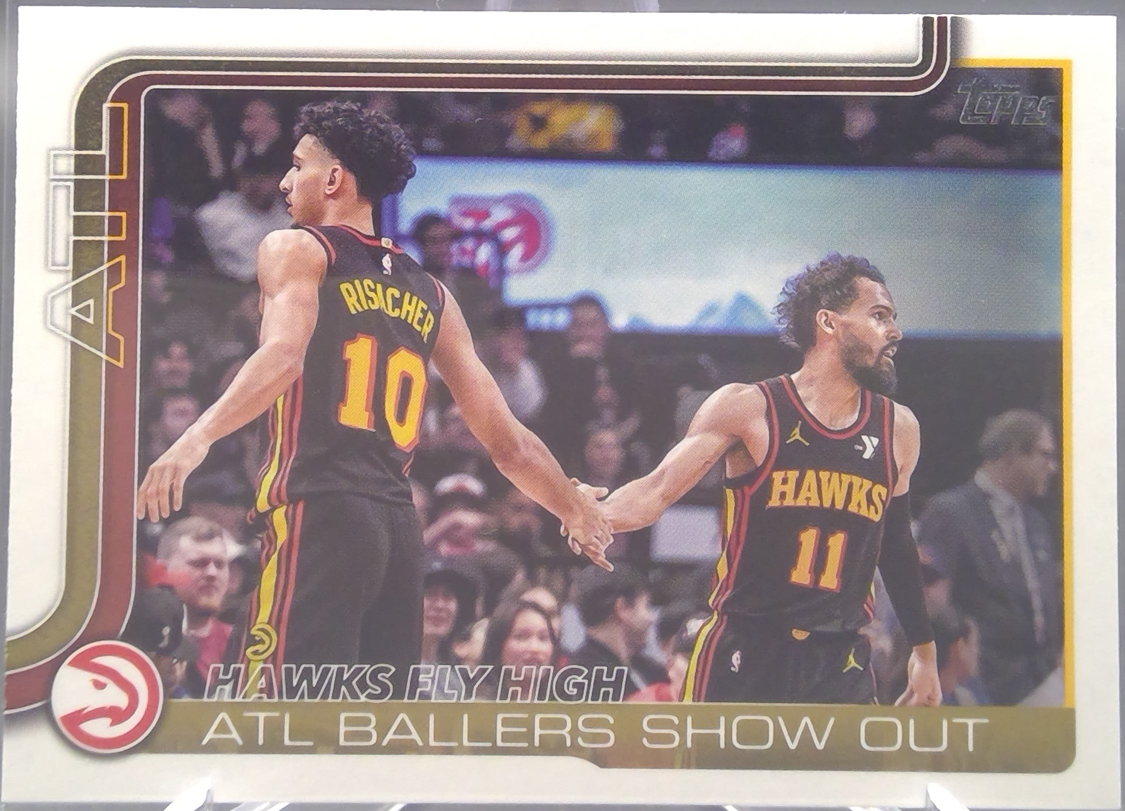 Atlanta Hawks #282