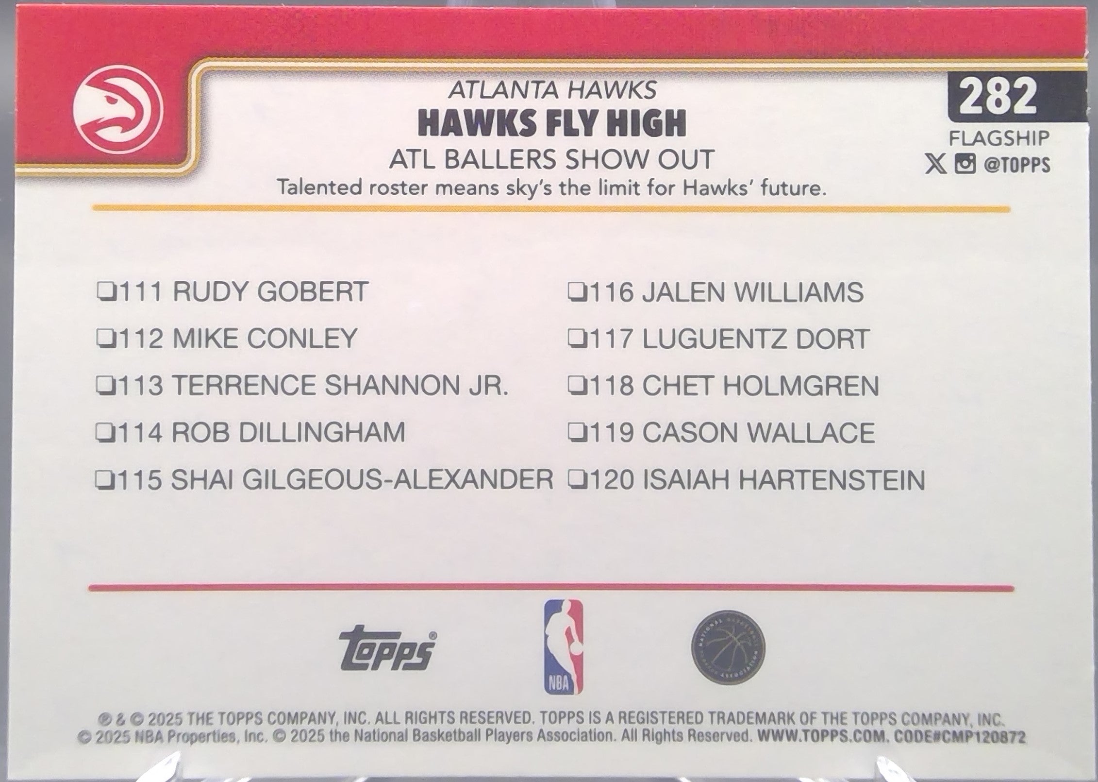 Atlanta Hawks #282