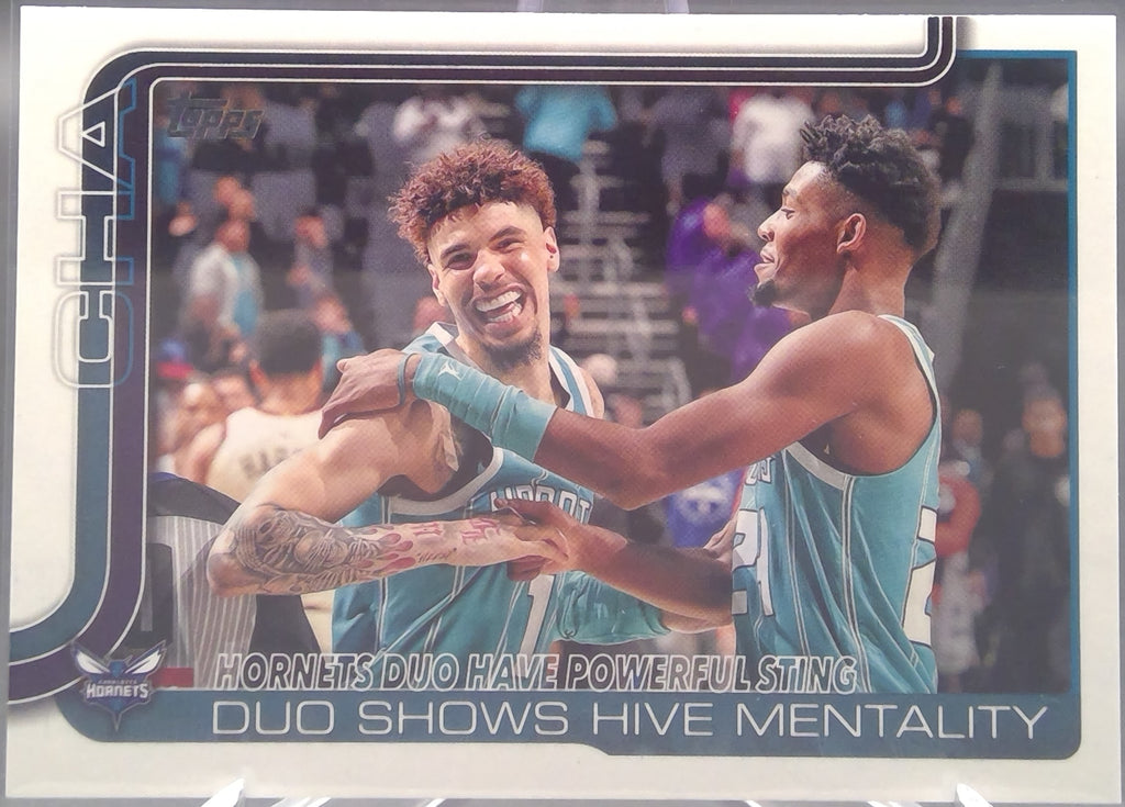 Charlotte Hornets #283