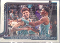 Charlotte Hornets #283