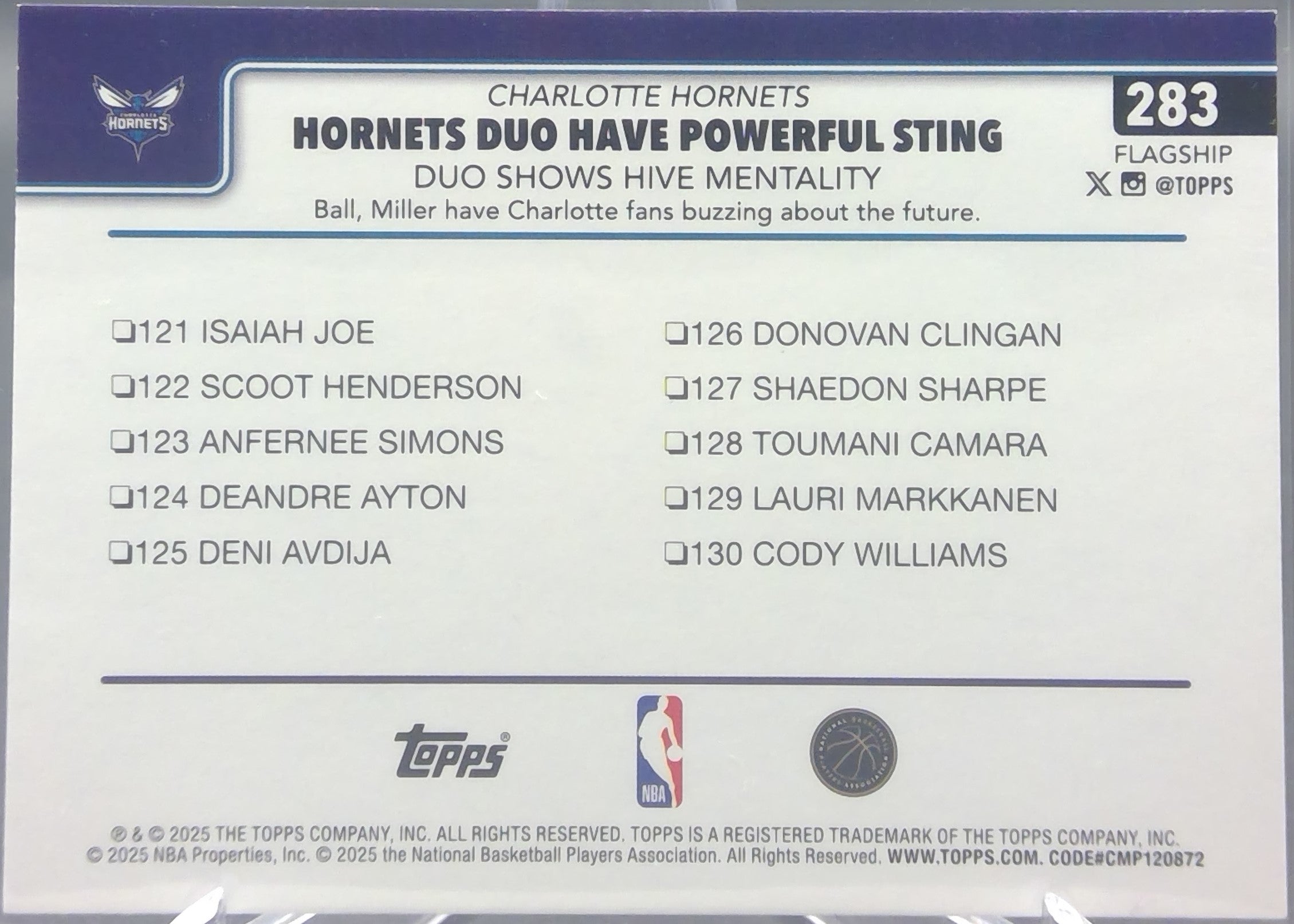 Charlotte Hornets #283