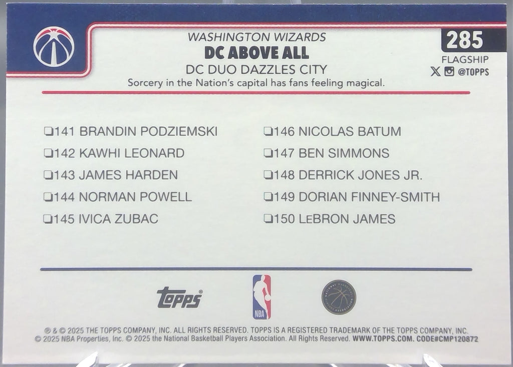 Washington Wizards #285