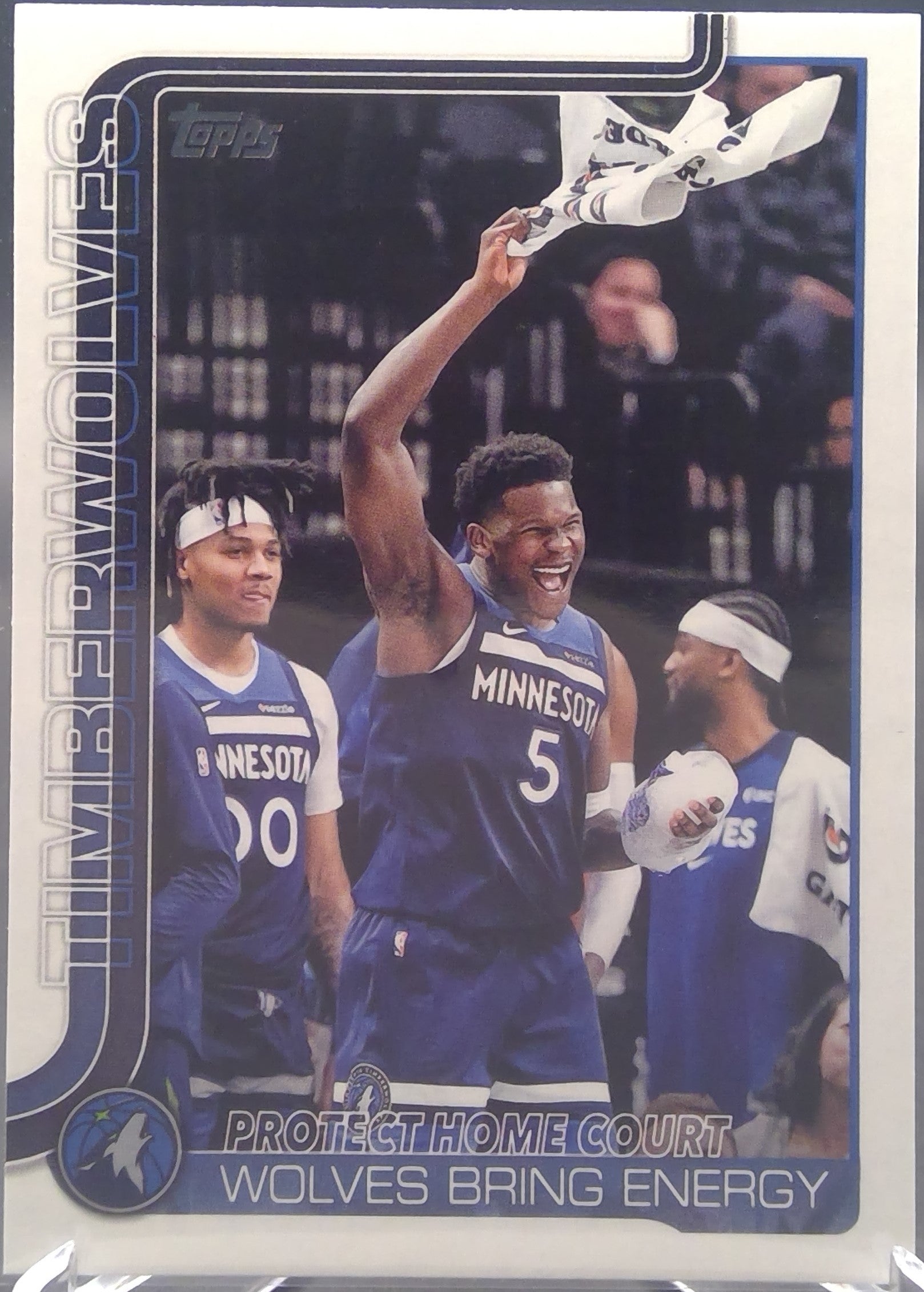 Minnesota Timberwolves #287