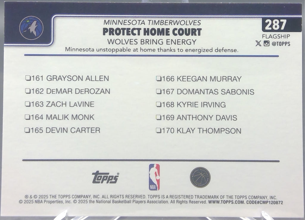 Minnesota Timberwolves #287