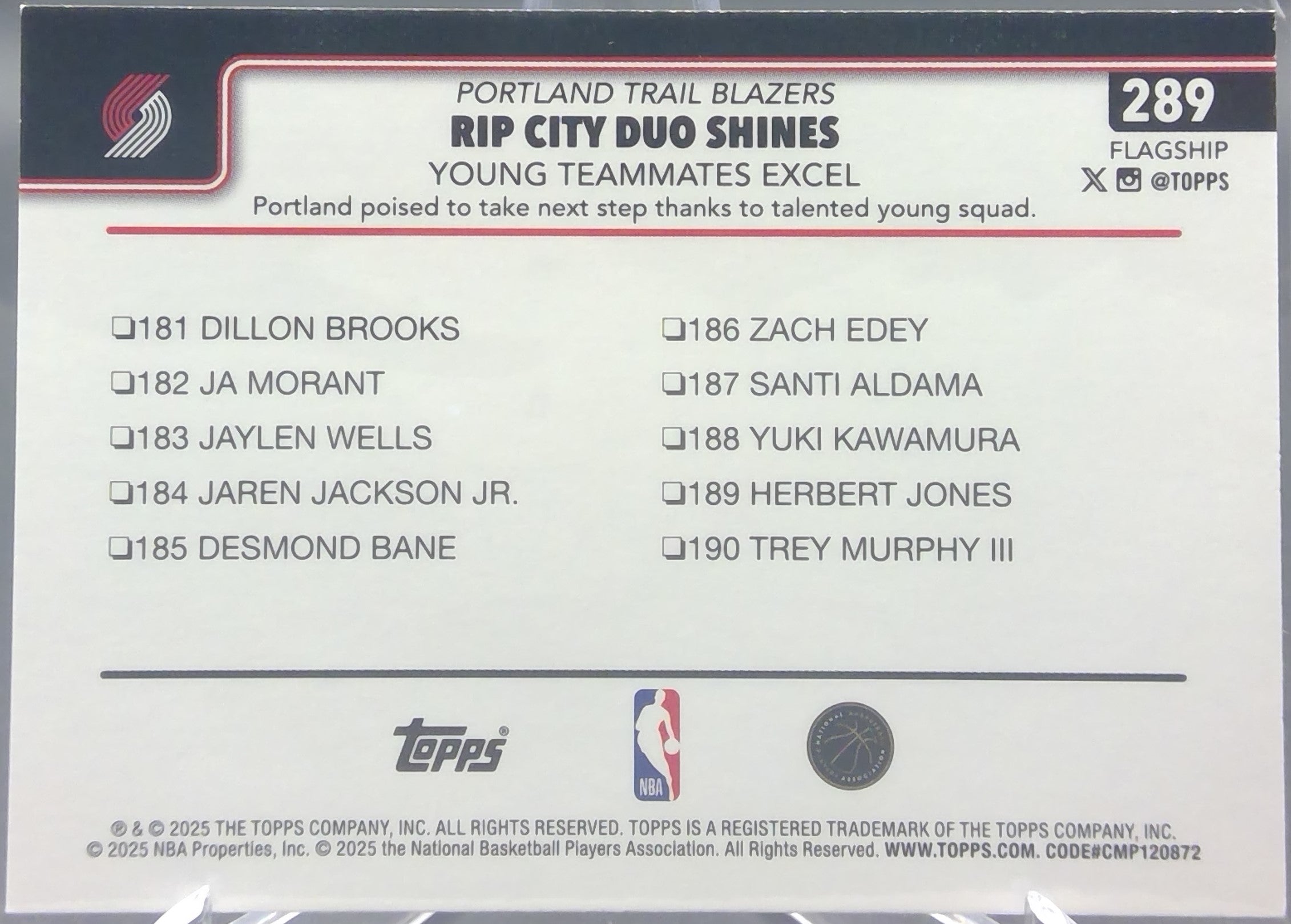 Portland Trail Blazers #289