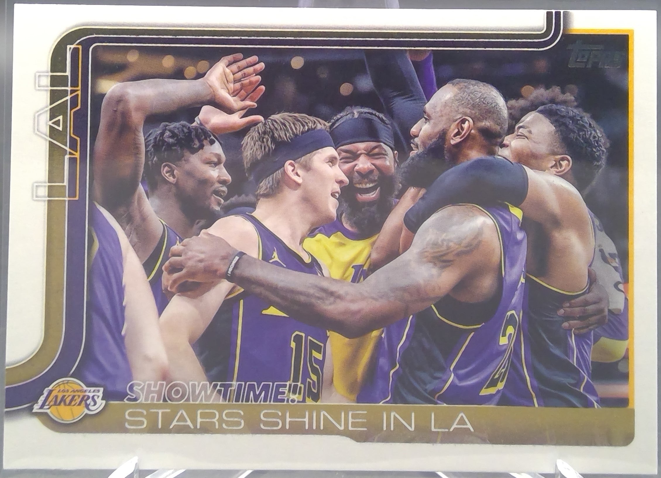 Los Angeles Lakers #293