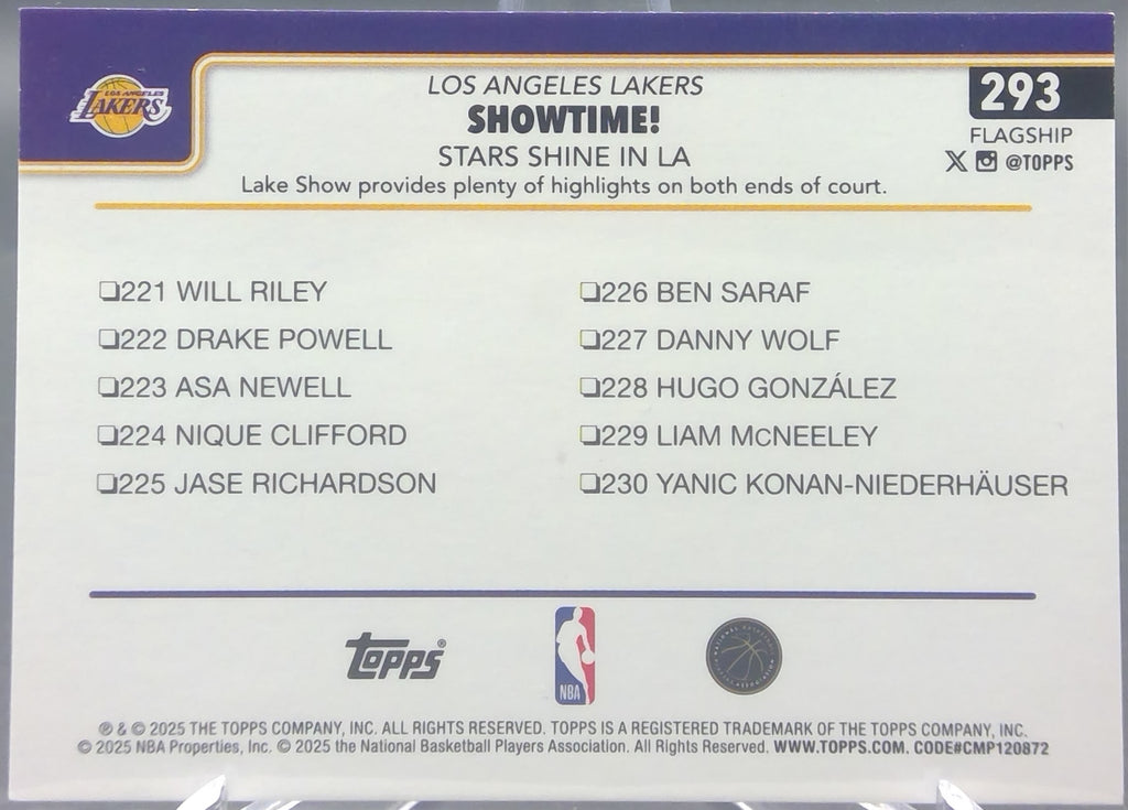 Los Angeles Lakers #293