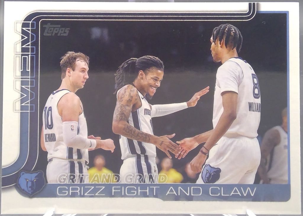 Memphis Grizzlies #298