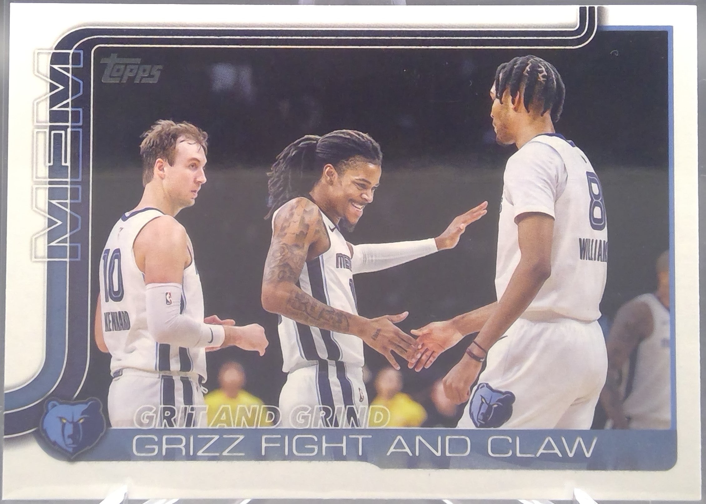 Memphis Grizzlies #298