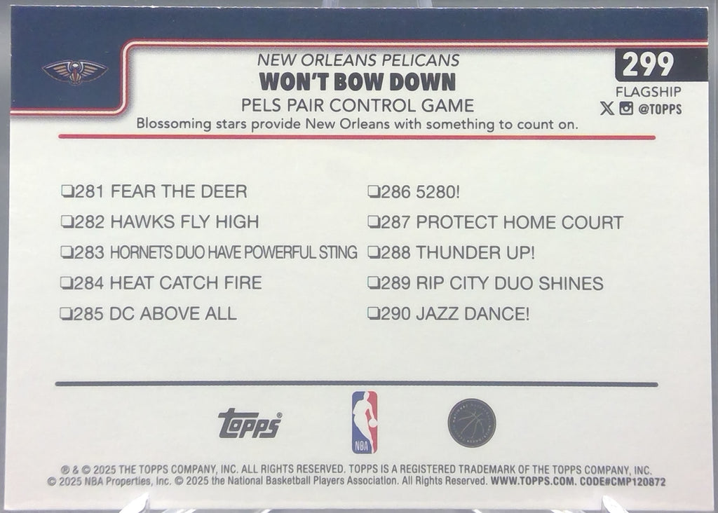 New Orleans Pelicans #299