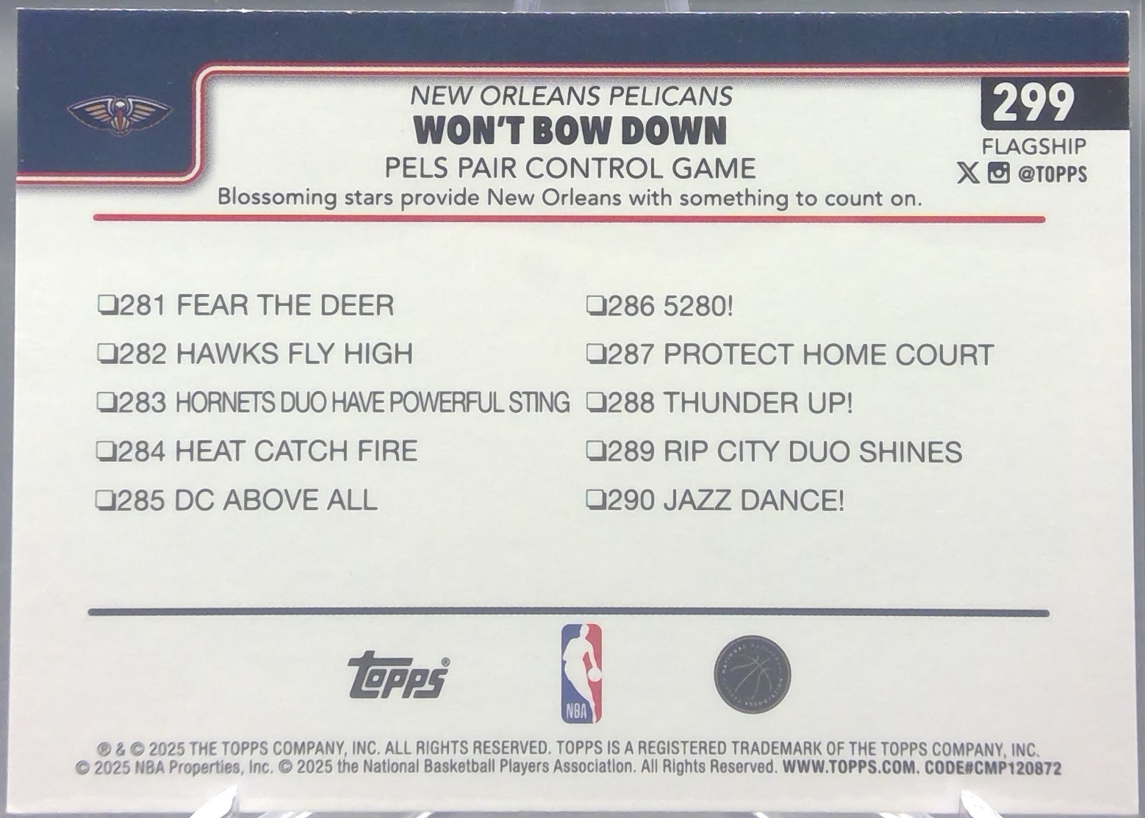 New Orleans Pelicans #299