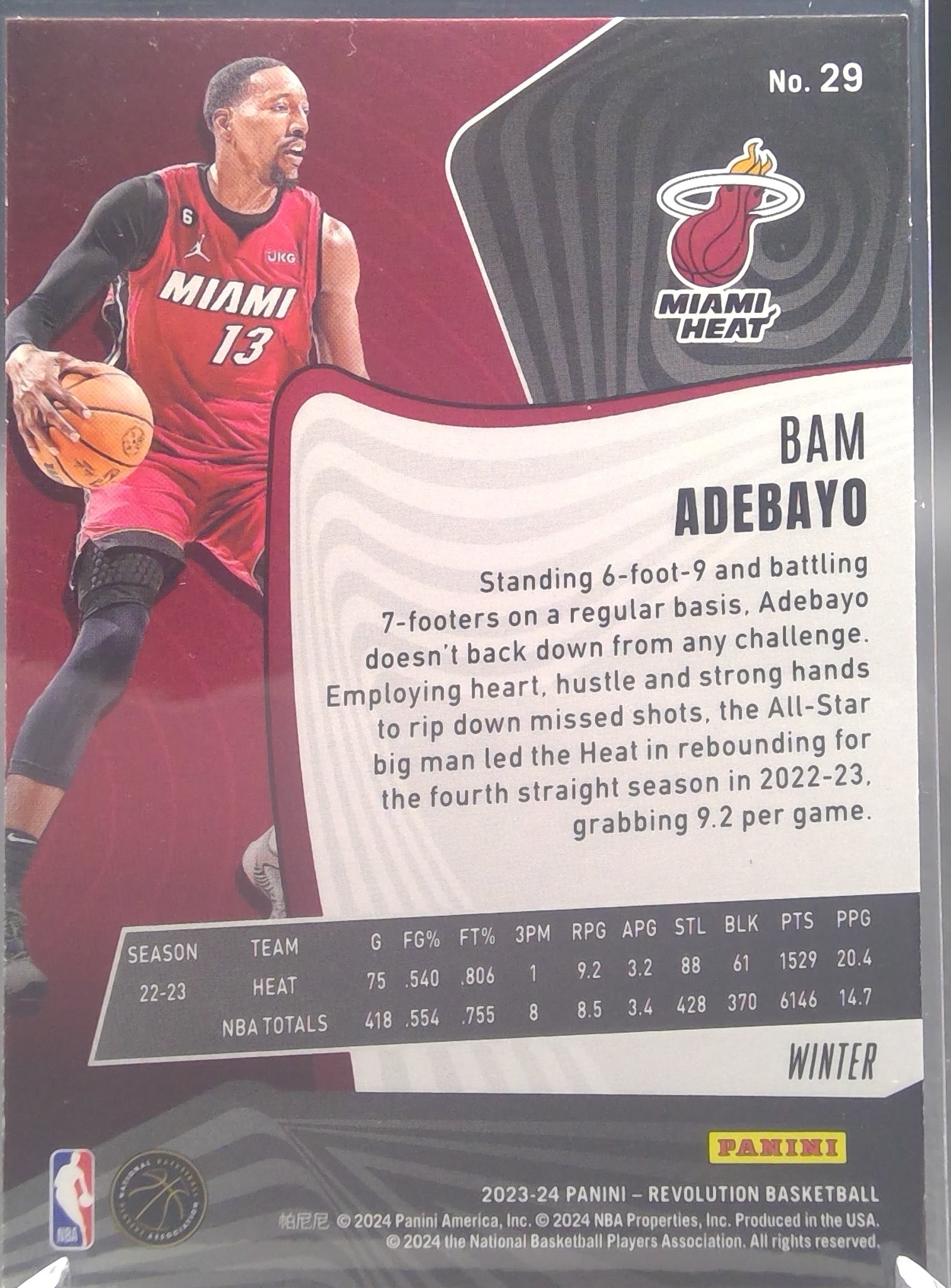 Bam Adebayo #29