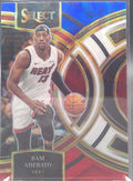 Bam Adebayo #142