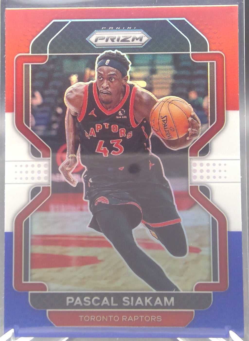 Pascal Siakam #174