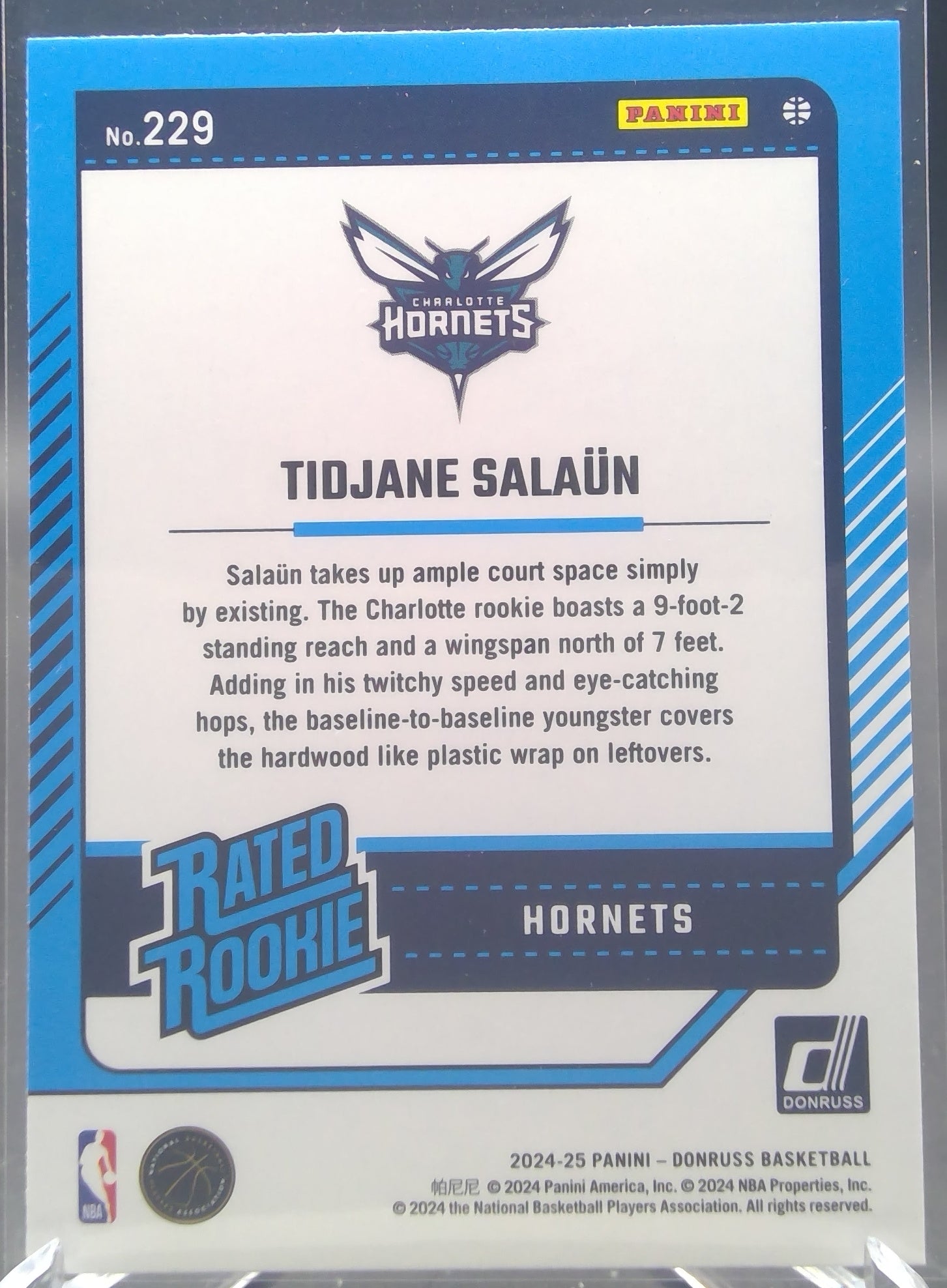 Tidjane Salaun #229