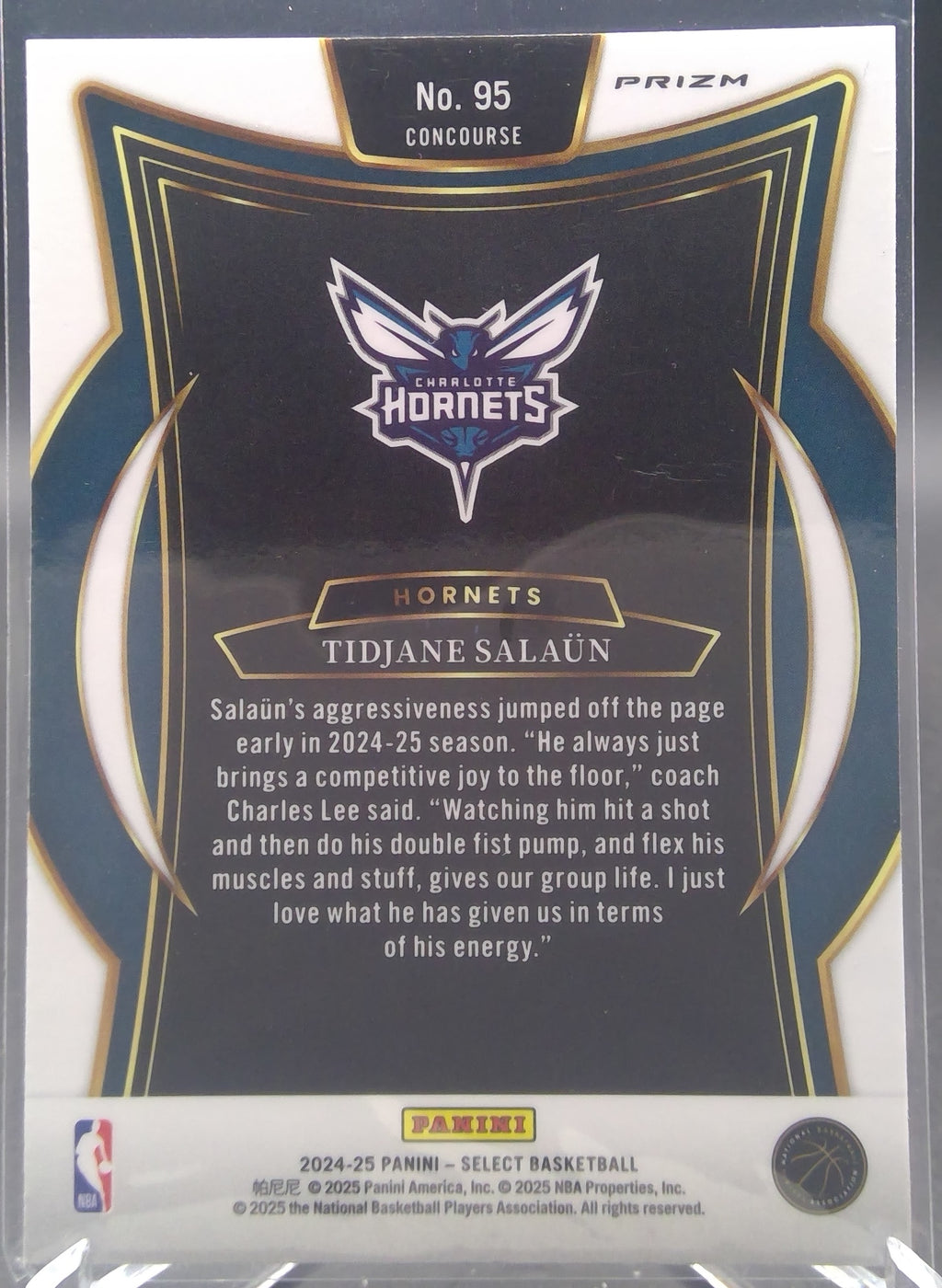 Tidjane Salaun #95