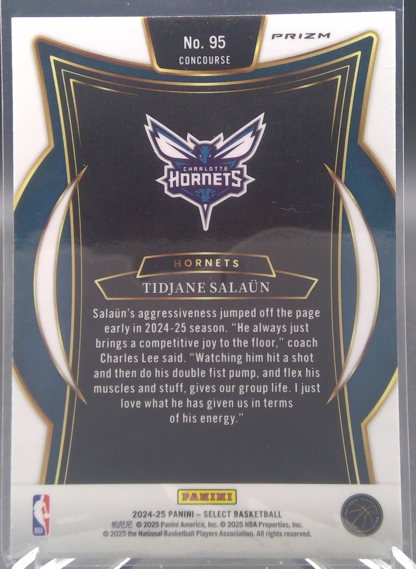Tidjane Salaun #95