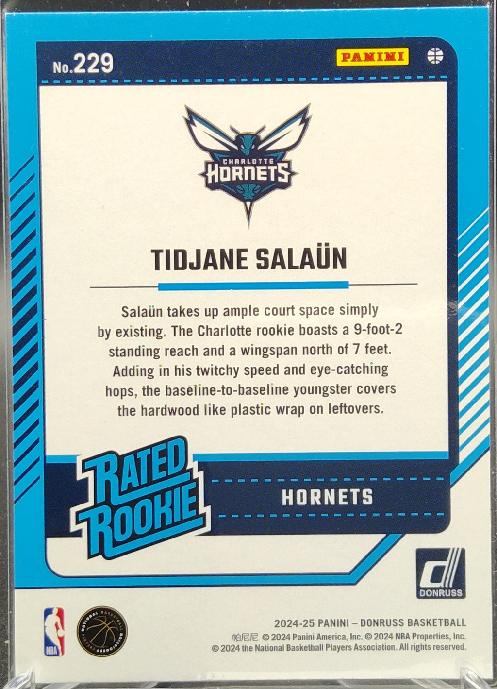 Tidjane Salaun #229